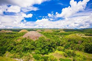 collines de chocolat vert juteux à bohol, philippines photo