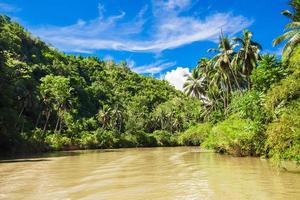rivière loboc tropicale avec des palmiers sur les deux rives photo