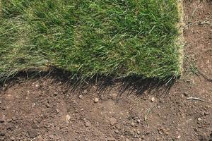 rouleaux d'herbe à gazon aux beaux jours - maison de campagne et aménagement paysager photo