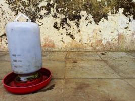 plateau de poulet pour l'alimentation ou la boisson photo