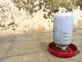 plateau de poulet pour l'alimentation ou la boisson photo