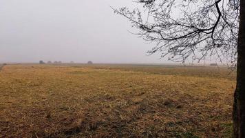 brouillard dans la rizière du village photo