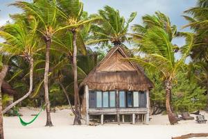 maison de plage tropicale au bord de l'océan parmi les palmiers photo