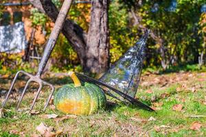 citrouilles d'halloween vertes, chapeau de sorcière et râteau à l'extérieur photo