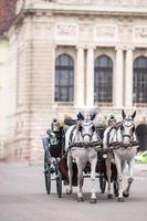 Entraîneur de chevaux traditionnels fiaker à Vienne Autriche photo