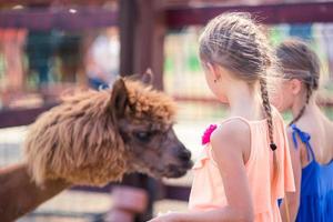 charmante petite fille joue avec un joli alpaga dans le parc photo