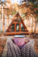 tasse chaude de thé réchauffant les mains de la femme dans un pull en laine sur fond de maison confortable photo