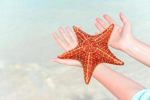 plage tropicale avec une belle étoile de mer rouge photo