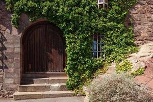 vieille porte en bois et briques brunes avec lierre vert photo