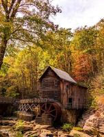 maison en bois dans les bois photo