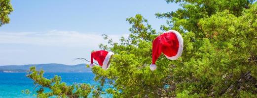 chapeau de noël rouge sur fond de branche mer turquoise photo