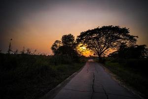 coucher de soleil sur une route