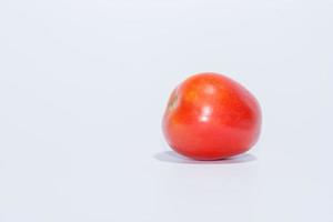tomate sur fond blanc photo
