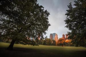 parc central de new york photo