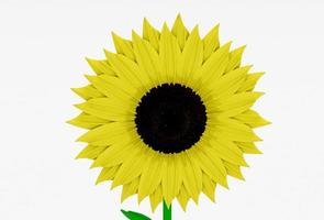 belle illustration 3d de tournesol rendu minimal sur fond blanc. photo