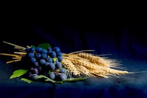 pain aux raisins de blé et couronne d'épines sur fond noir comme symbole du christianisme photo