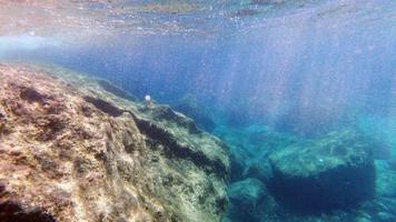 vue sous-marine de l'eau cristalline de la sardaigne pendant la plongée photo