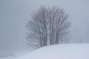 paysage d'hiver dans les alpes autrichiennes photo