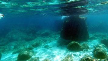 vue sous-marine de l'eau cristalline de la sardaigne pendant la plongée photo