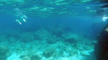 vue sous-marine de l'eau cristalline de la sardaigne pendant la plongée photo