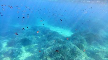 vue sous-marine de l'eau cristalline de la sardaigne pendant la plongée photo