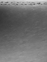 dunes du désert en noir et blanc photo