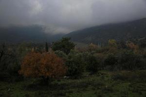 vue dans une vallée sur les hauteurs du golan photo