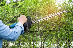 jardinier tenant un taille-haie électrique pour couper la cime des arbres dans le jardin. photo