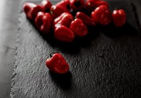 poivron rouge. photo