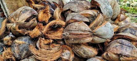 tas de coquilles de noix de coco sèches, vue rapprochée. photo