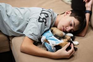 garçon adolescent avec chat de sommeil dans un bandage après la chirurgie. soin d'un animal de compagnie après la stérilisation d'une opération cavitaire. photo