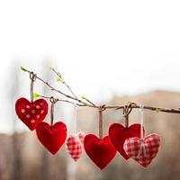saint valentin aime beau. coeur suspendu à une branche d'arbre photo