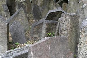 ancien cimetière juif de prague photo