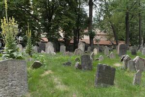 ancien cimetière juif de prague photo