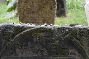 ancien cimetière juif de prague photo