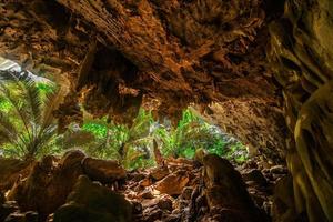 Paysage de grotte et arbre hup pa tat, uthai thani, Thaïlande photo