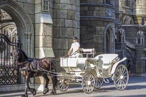 2022-08-16 russie, samara, centre touristique du château de garibaldi dans le village de khryashchevka, région de samara. le cavalier conduit la calèche autour du château photo