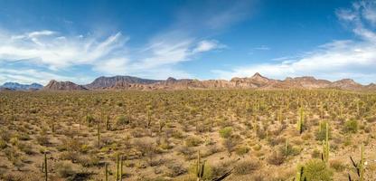 cactus et rochers panorama aérien désert de baja california vue paysage coloré photo