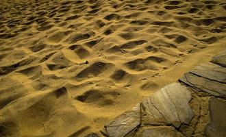 une vue des empreintes de pas dans les sables trouvés sur les plages de tarifa photo