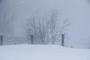 paysage d'hiver dans les alpes autrichiennes photo