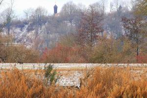 chien brun solitaire sur la neige sale d'une route. route rurale d'hiver photo