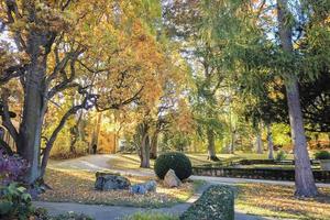 feuilles d'automne et arbres dans le parc photo