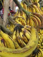 bouquet de plantains photo