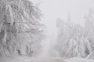 route enneigée en hiver dans une région montagneuse après de fortes chutes de neige en roumanie photo