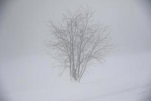 paysage d'hiver dans les alpes autrichiennes photo