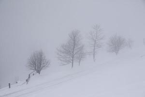 paysage d'hiver dans les alpes autrichiennes photo