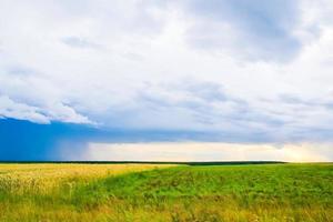 paysage de champ vert avec ciel bleu et nuages orageux. photo