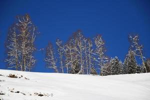 paysage d'hiver dans les alpes autrichiennes photo