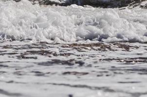 écume de mer. éclabousser d'eau photo