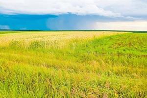 paysage de champ vert avec ciel bleu et nuages orageux. photo